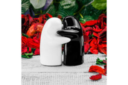 Набор д/специй 2 пр. 7,5*5*8 см Черно-белые - Elan gallery фото 10