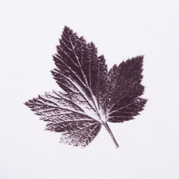 Комплект штор для кухни с подхватами Этель «Impression» 145×180 см - 2 шт., 100% п/э