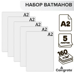Набор ватманов чертёжных А2, 160 г/м, 5 листов