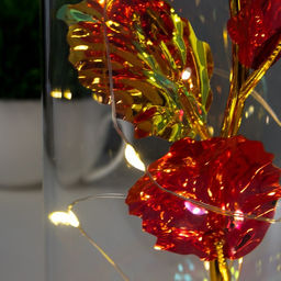 Фигурка светящаяся колба RISALUX Красный цветок, LED-ночник, от батареек 3ААА, 11?11?21.5 см  фото 4