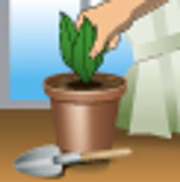 Томат Небоскреб F1 (2024) - Аэлита фото 4