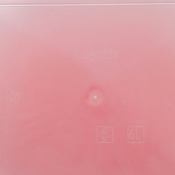 Контейнер для шашлыка c ручкой BEROSSI Leto, 6 л, пластик, прозрачный, крышка красная