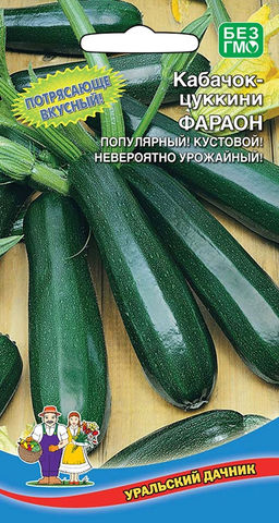 Кабачок ФАРАОН  Тип цуккини! Кустовой! Популярный! Потрясающе вкусный! Невероятно урожайный!