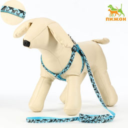 Комплект прошитый Милитари, поводок 120 х 1 см, ОГ 23-35 см, синий