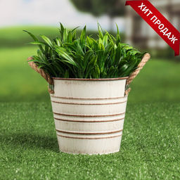 Кашпо «Ведёрко полоски», 13×13×12 см, МИКС