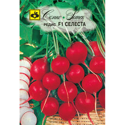 Редис Селеста F1 1г (Семко)