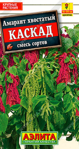 Амарант Каскад, смесь сортов (2028)