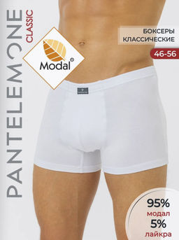 Трусы-шорты мужские МОДАЛ PMH-638