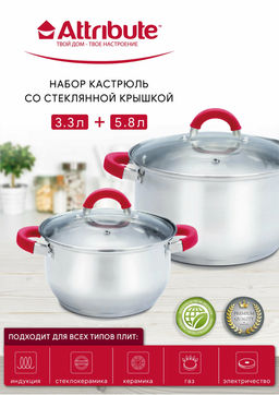 Набор кастрюль DELICE 2шт (3.3л+5.8л)
