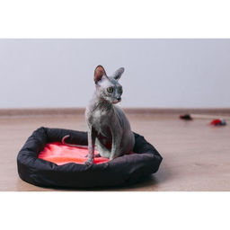 Лежанка мягкая с бортом, 55 х 40 см, микс цветов - Пижон фото 9