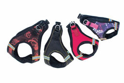 Шлейка Редпл. дарэленд Адам-TEX XL, (об.гр.45-50см),утепл(синтеп+порол)+св/отр,цветная 431215