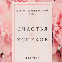 Пакет ламинированный Счастья и успехов, радужная голография, MS 18 х 23 х 10 см - Дарите счастье фото 4