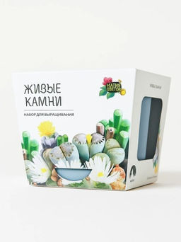Набор д/выращивания "Магия цветов", "Литопсы микс (живые камни)"