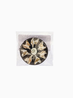 Кулон «Экзотика», 25 см, ракушка