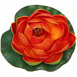 Цена за 5 шт. Растение водоплавающее "Кувшинка Розитта" d-10см оранжевая