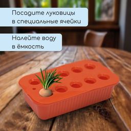 Цена за 2 шт. Ящик для выращивания зелёного лука, 29×16×8.5 см, 2.5 л, 10 лунок, пластик, оранжевый, Greengo