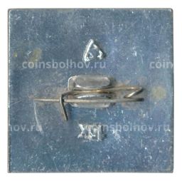 Значок Владимир