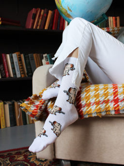 Носки р.40-45 TxT Капибара - Krumpy фото 4