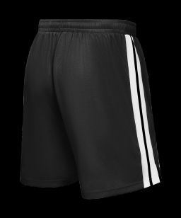 Шорты баскетбольные JOGEL DIVISION PerFormDRY Shorts 99, черный  фото 3