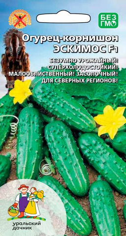 Огурец ЭСКИМОС F1  Безумно урожайный! Супер холодостойкий! Малолиственный! Засолочный! Для Северных регионов!