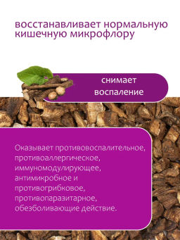 Лопух (корень) - Травы горного крыма фото 2