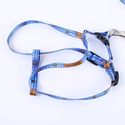 Комплект Любимчик, шлейка 24-36 см, поводок 120х1 см - Пушистое счастье фото 2