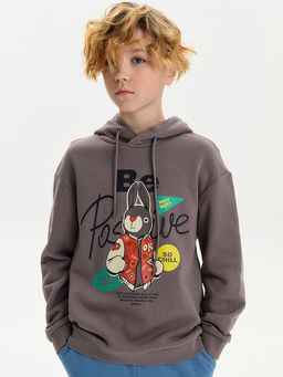 BFNK3387 Толстовка для мальчиков