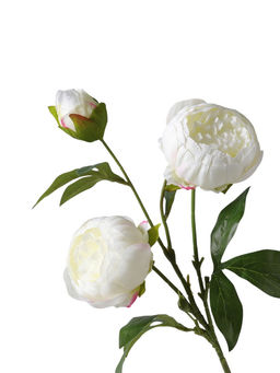 Цветы искусственные "Пион Бьорг" d-8,5 см 65 см, белый