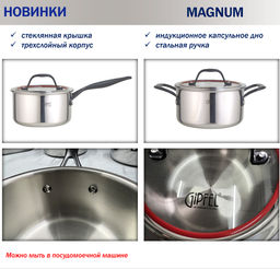 52790 GIPFEL Ковш MAGNUM 16х9см/1,6 л со стеклянной крышкой, с трехслойным корпусом, с индукционным капсульным дном и стальной ручкой. Материал: нержавеющая сталь 18/10. Толщина стенок: 2,5 мм. Цвет ручек: черный.