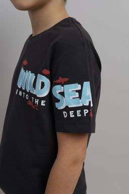 CRB wear / CSKB 90246-48-402 Комплект для мальчика (футболка, шорты),темно-серый/Ex.Cherubino фото 3