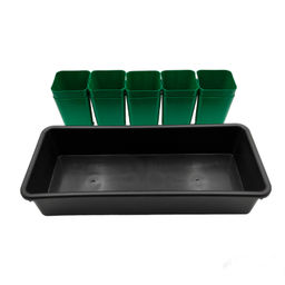 Комплект для рассады "Универсал" 47х20х11см (10 горшков со съем.дном 700мл, ящик) (пластик) цветной