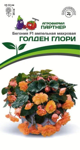 Бегония клубневидная ампельная махровая Голден Глори