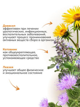 Банный сбор ФИТОПАР-3 Общеукрепляющий 100 г Алфит 1004 фото 4