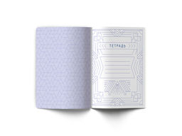 Светоч 48ТПСК5_126_2_1 Тетрадь со справочным материалом Линия успеха, софт тач ламинация + тиснение фольгой, A5 48 л. на скобе 65 г/кв.м , белизна 100 % 10 шт. , клетка 000570 Алгебра фото 4