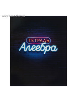 Набор предметных тетрадей Calligrata «Неон», 10 предметов, 48 листов, со справочным материалом, обложка из мелованного картона, УФ-лак, блок офсет