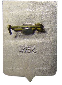 Значок Старая Руса