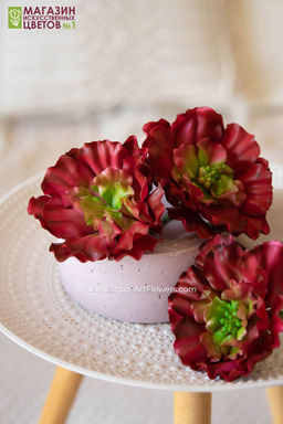 067 Суккулент 7 - Без тм фото 8