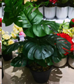 Цветочная композиция Монстера 42 см / ZH-008 /уп 48/ - Галеонтрейд фото 2