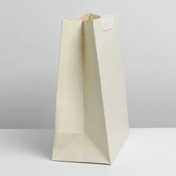 Цена за 2 шт. Пакет подарочный ламинированный, упаковка, Молочный, ML 23 х 27 х 11.5 см - UPAK LAND фото 2