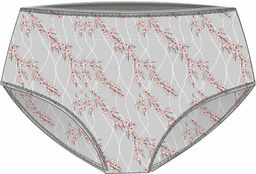 ТРУСЫ ЖЕНСКИЕ "MAXI SLIP" арт. 1900W-40744.2L-023