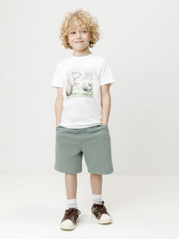 КР 400911/хаки 6206 к690, шорты