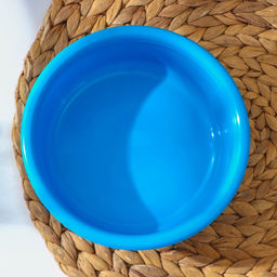 Миска, 0,8 л, цвет МИКС - Simaland фото 2