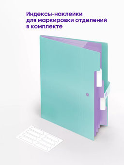 Папка А4, 5 отделений, Calligrata, 600 мкм, на кнопке, зеленая, матовая