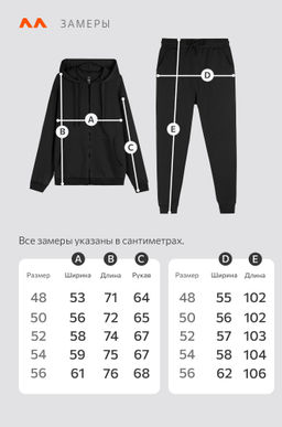 Мужской спортивный костюм из футера трехнитки Happyfox