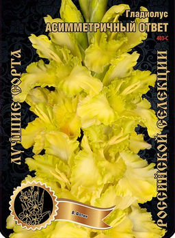 Гладиолус Асимметричный Ответ 403,Фотин 2 р-р 7шт (Ф)