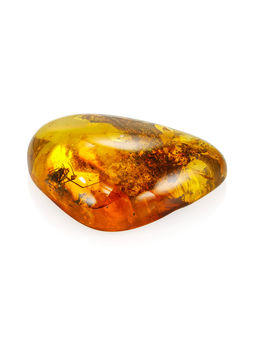 Кусочек натурального янтаря с инклюзом паучка