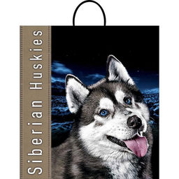 Цена за 10 шт. Пакет "Хаски", полиэтиленовый с пластиковой ручкой, 100 мкм 40 х 44 см