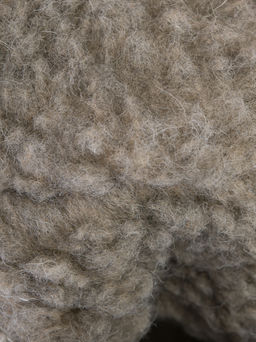 Ботинки 2434122 - Belwest фото 8