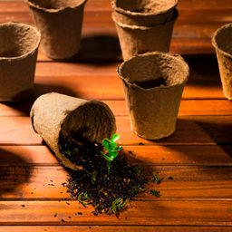 10шт. Горшочек торфяной d90мм h90мм