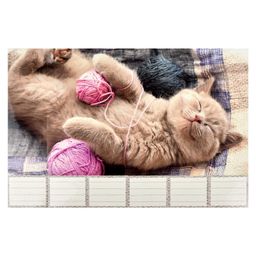 Этикетки самоклеящиеся для папок-регистраторов с корешком 7 см арт. 58513 - Escalada фото 2